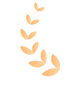 喜报|合肥yth2206游艇会成功入选合肥市重点产业链企业 喜报|合肥yth2206游艇会成功入选合肥市重点产业链企业