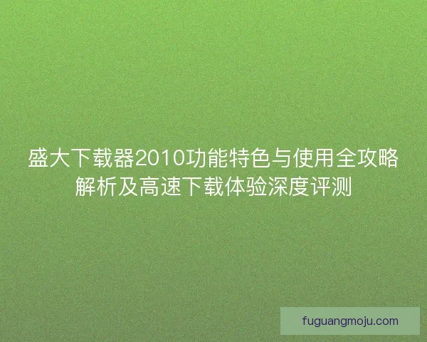 盛大下载器2010功能特色与使用全攻略解析及高速下载体验深度评测