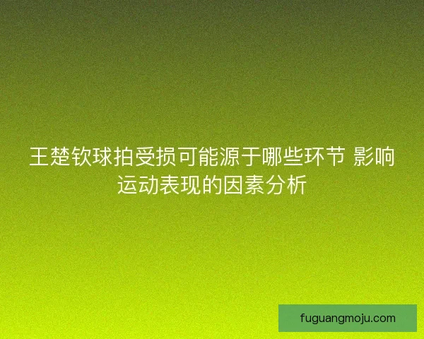 王楚钦球拍受损可能源于哪些环节 影响运动表现的因素分析